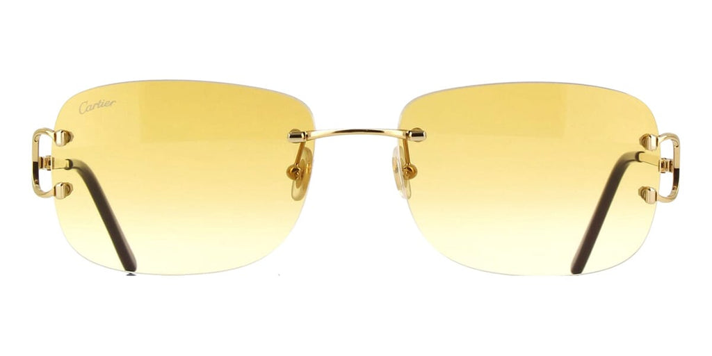 Cartier CT0011RS 002