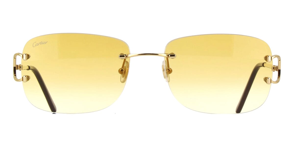 Cartier CT0011RS 002