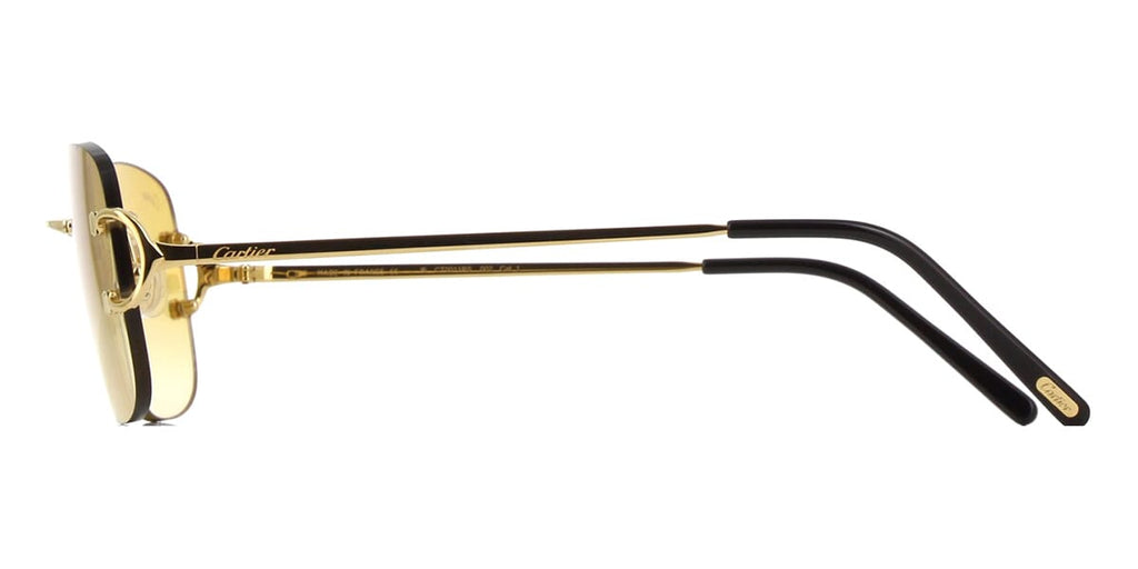 Cartier CT0011RS 002