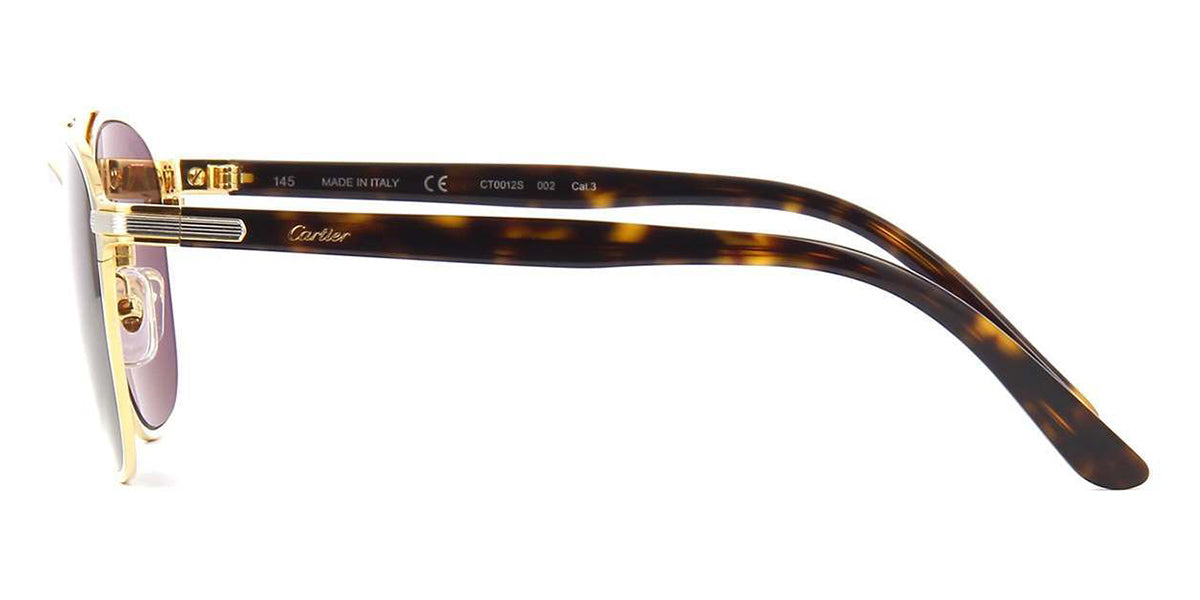 Cartier CT0012S 002