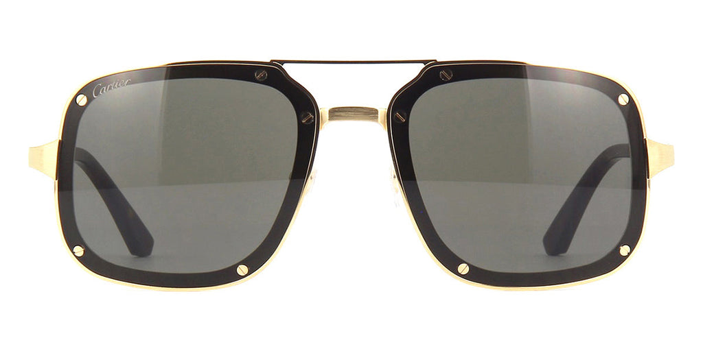 Cartier CT0194S 002