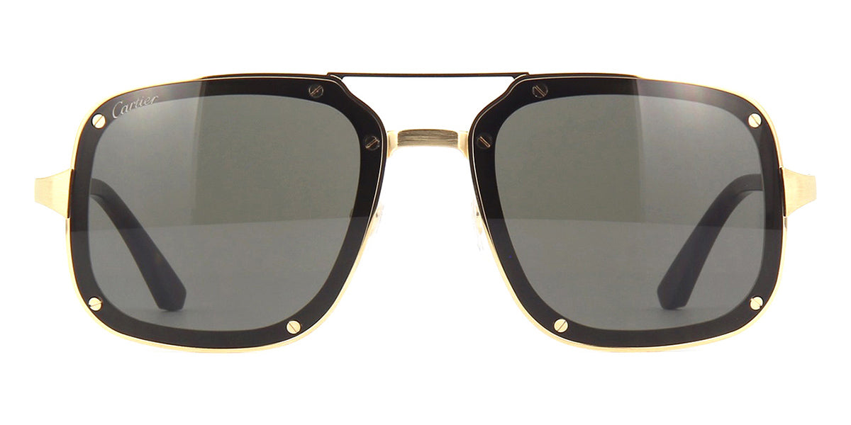 Cartier CT0194S 002