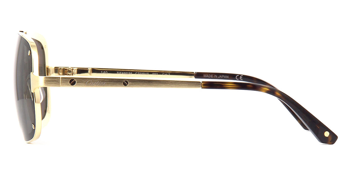 Cartier CT0194S 002