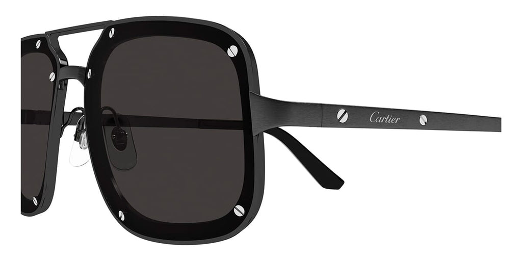 Cartier CT0194S 004