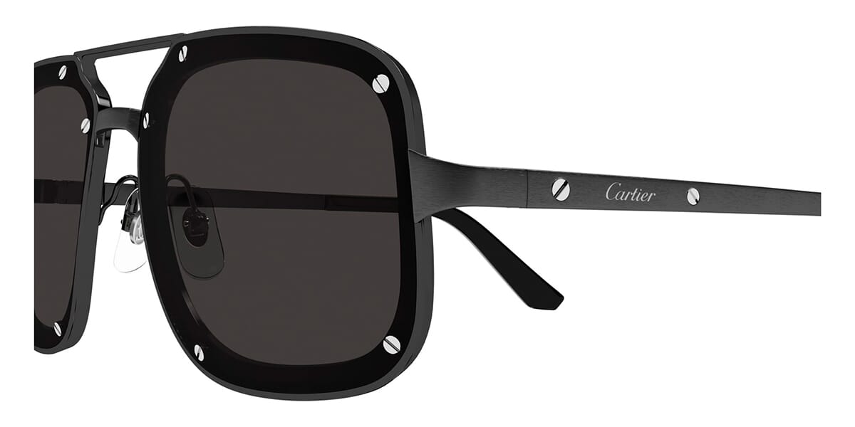 Cartier CT0194S 004