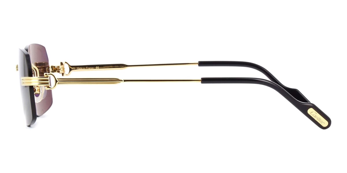 Cartier CT0271S 001 - As Seen On Travis Kelce & Baris Arduc