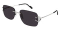 Cartier CT0330S 001