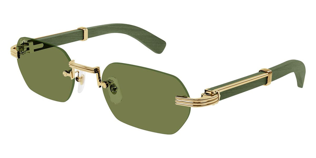 Cartier CT0362S 006