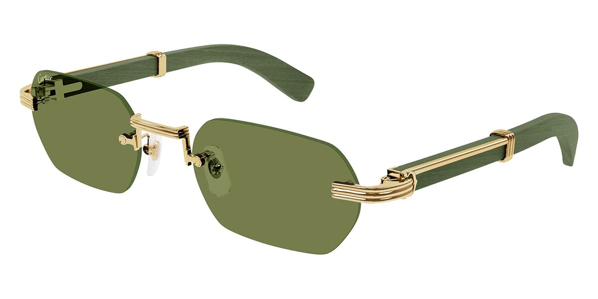 Cartier CT0362S 006