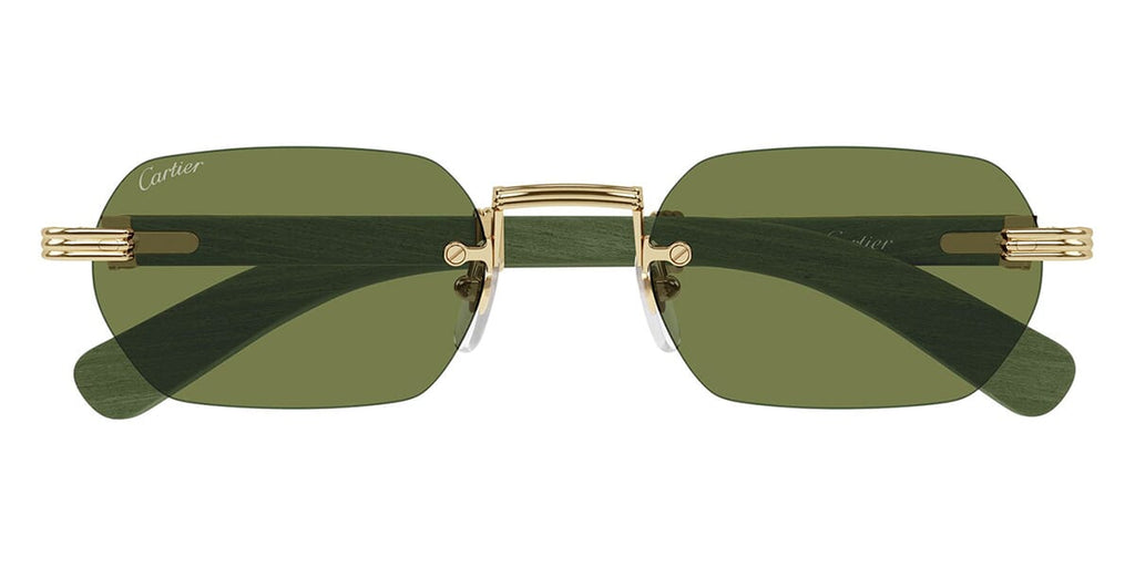 Cartier CT0362S 006