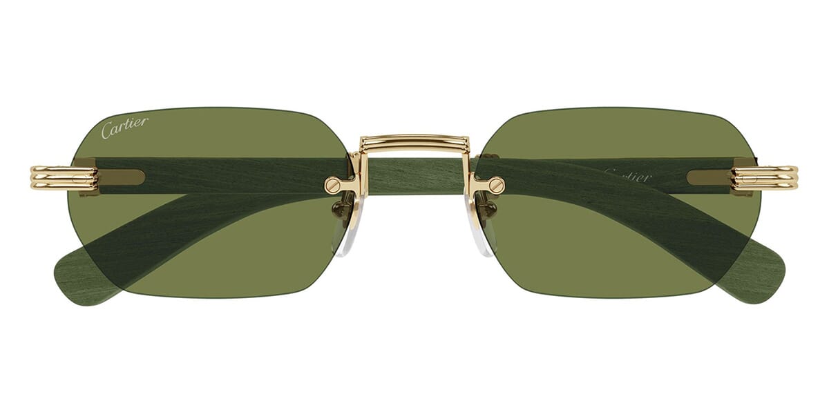 Cartier CT0362S 006