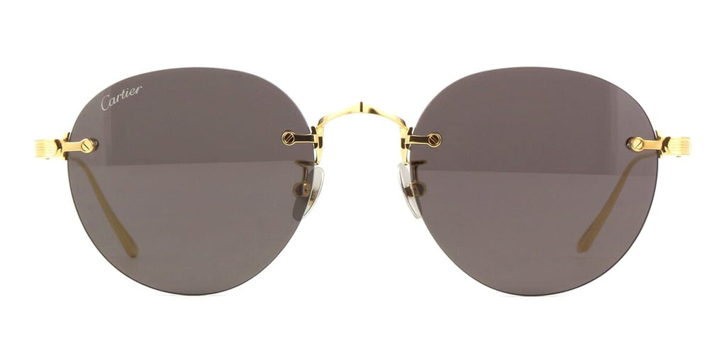 Cartier CT0393S 002