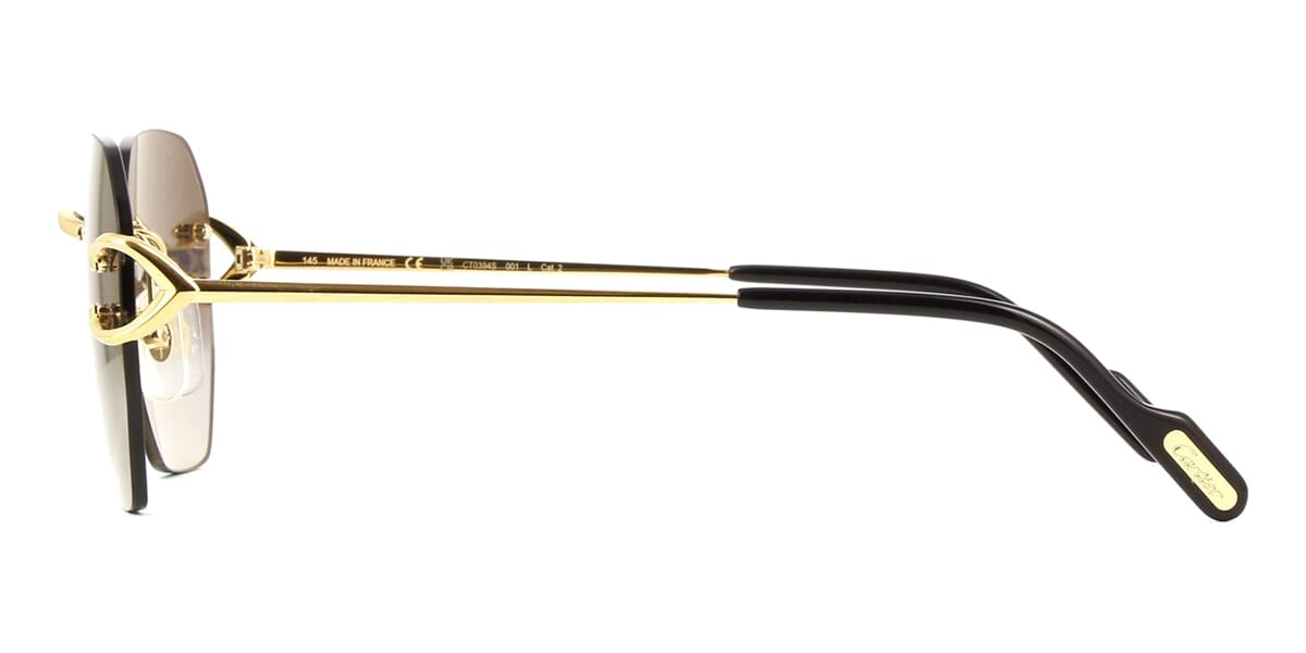 Cartier CT0394S 001