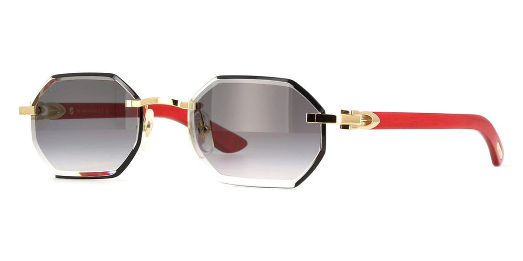 Cartier CT0439S 003 - As Seen On Jessica Kahawaty