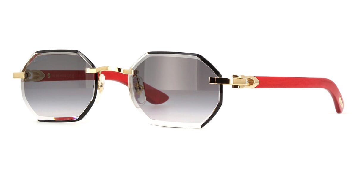 Cartier CT0439S 003 - As Seen On Jessica Kahawaty