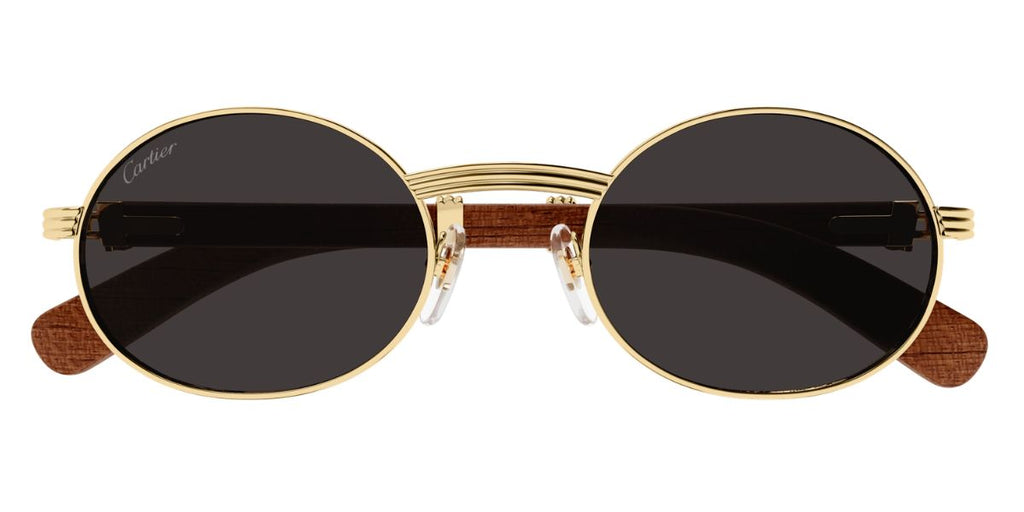 Cartier CT0464S 002