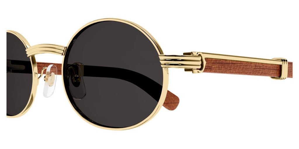 Cartier CT0464S 002