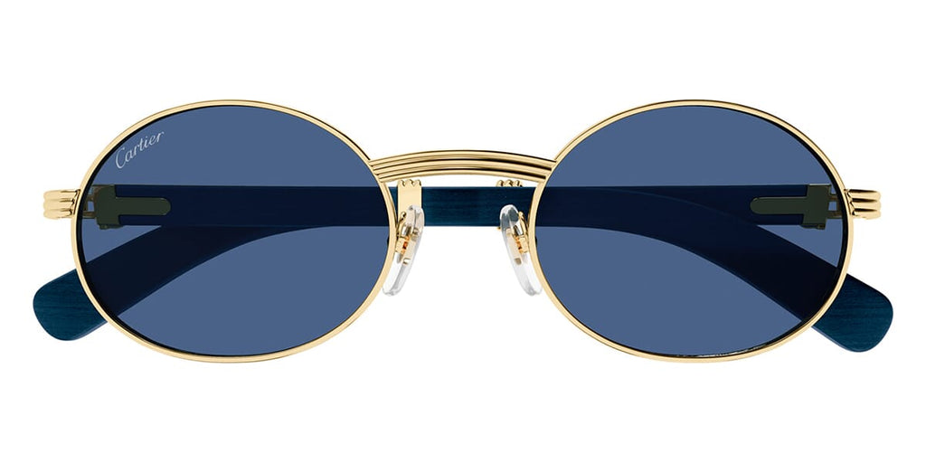 Cartier CT0464S 004