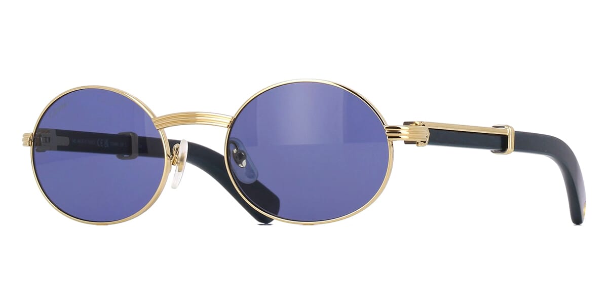 Cartier CT0464S 008