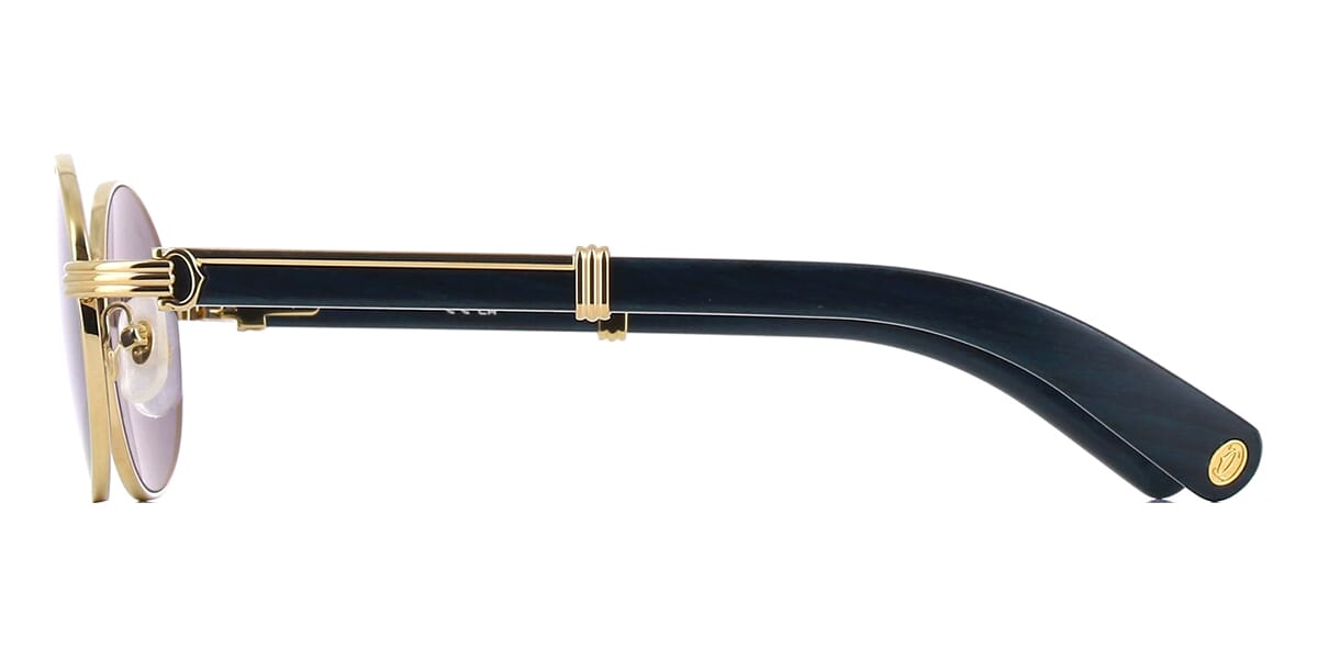 Cartier CT0464S 008