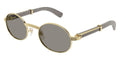 Cartier CT0464S 019