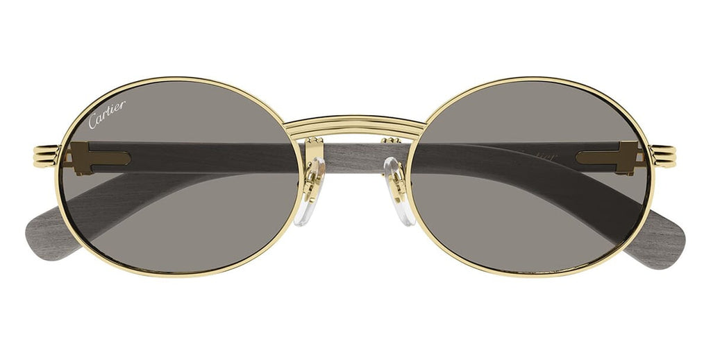 Cartier CT0464S 019