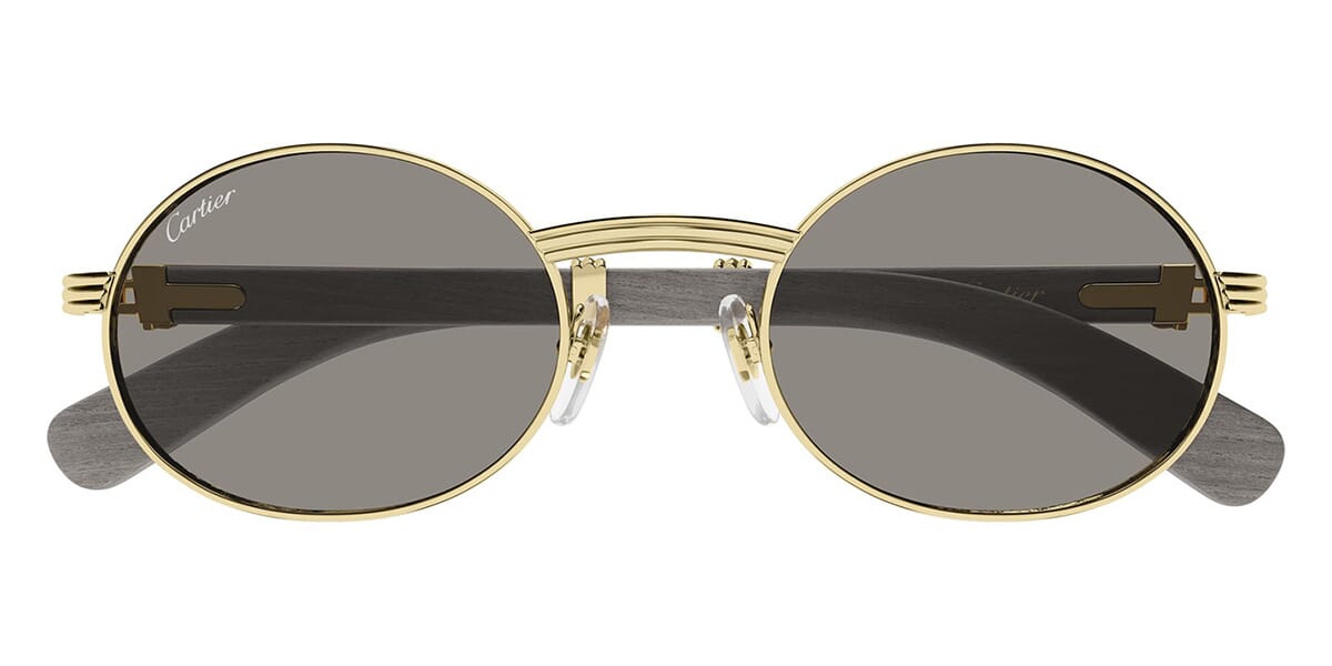 Cartier CT0464S 019