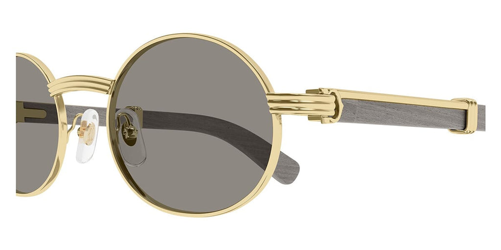 Cartier CT0464S 019