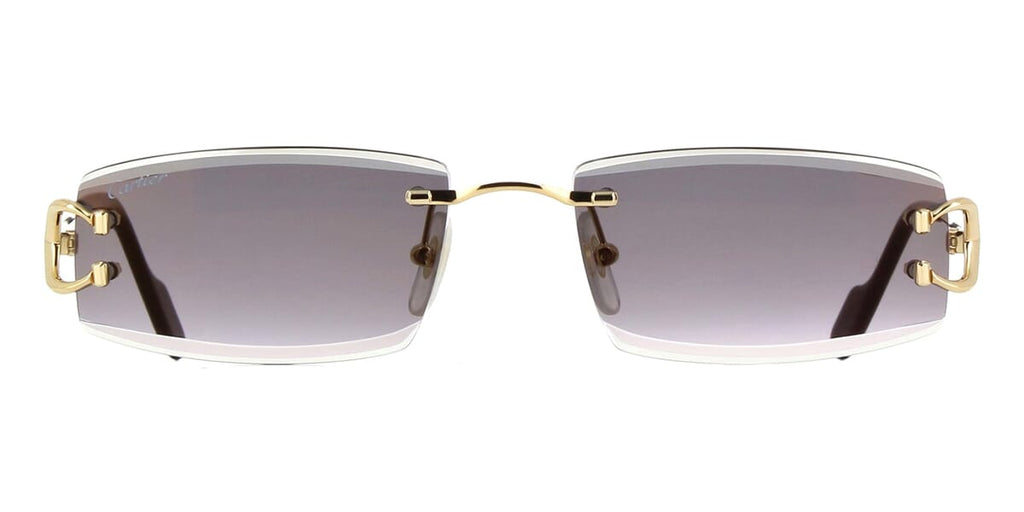 Cartier CT0465S 001 - As Seen On Eberechi Eze & Ruben Dias