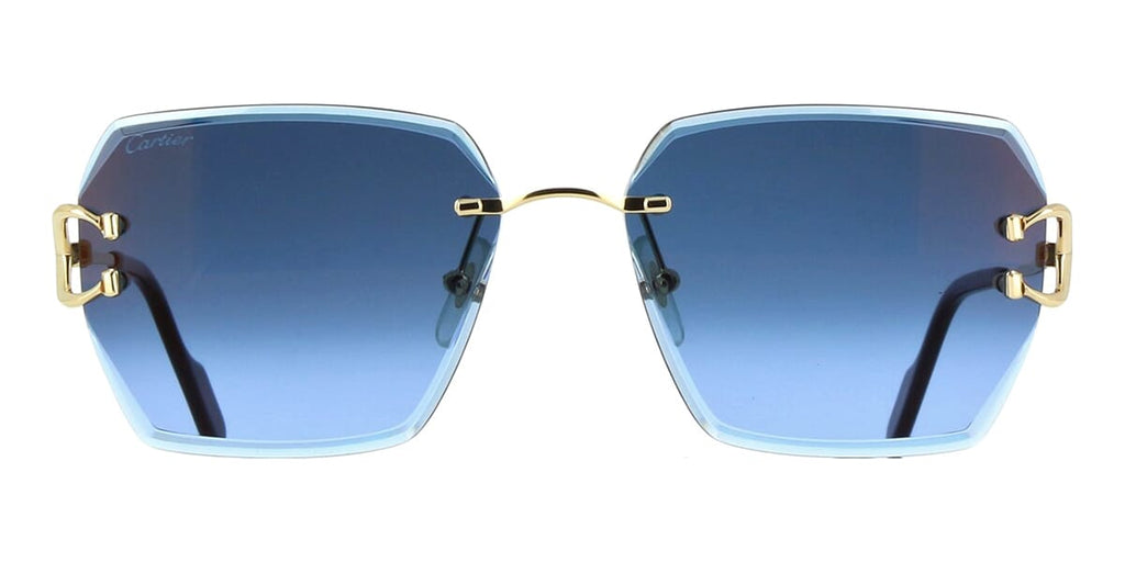 Cartier CT0466S 002