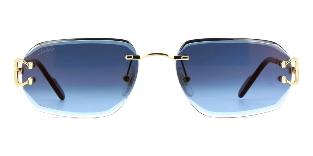 Cartier CT0468S 002