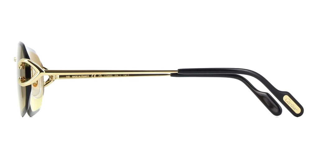 Cartier CT0468S 004 - As Seen On Beyonce