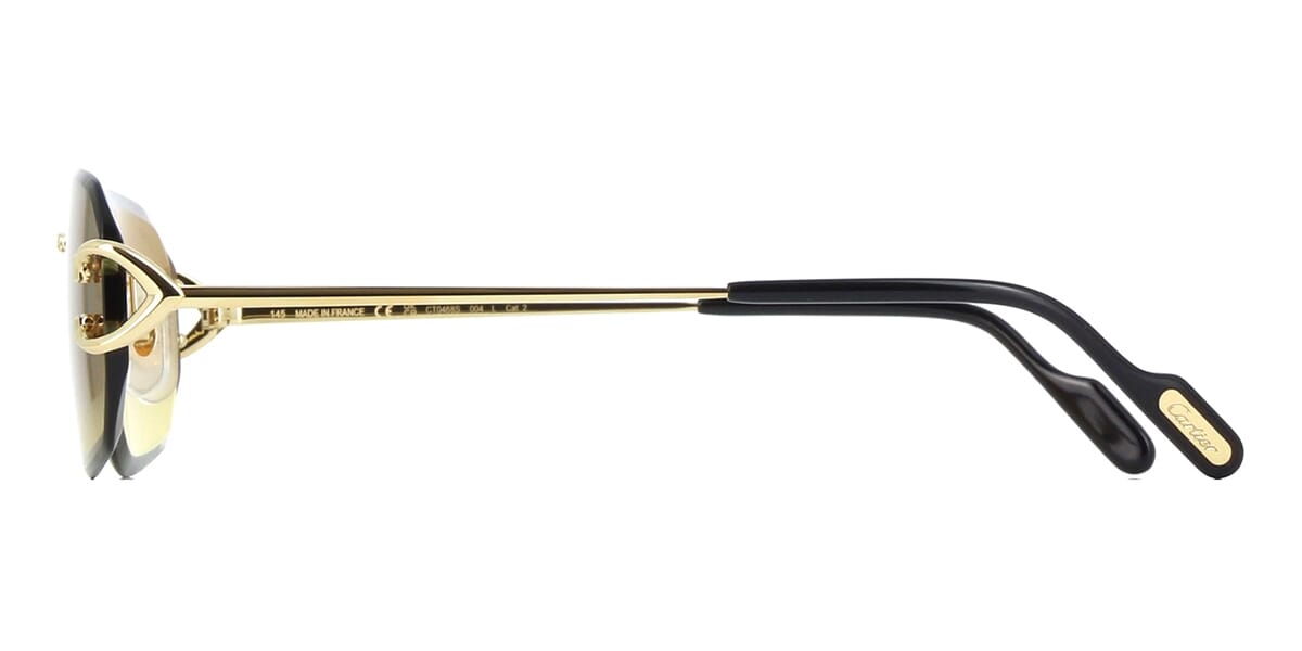 Cartier CT0468S 004 - As Seen On Beyonce