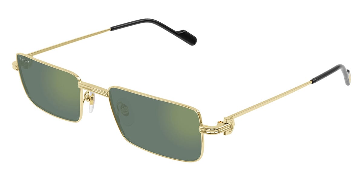 Cartier CT0501S 007