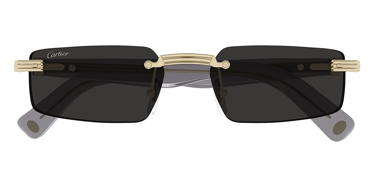 Cartier CT0537S 001