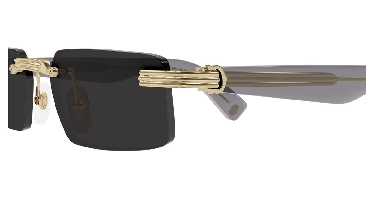 Cartier CT0537S 001