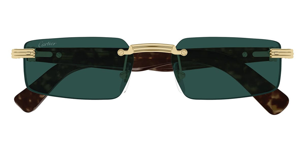 Cartier CT0537S 002