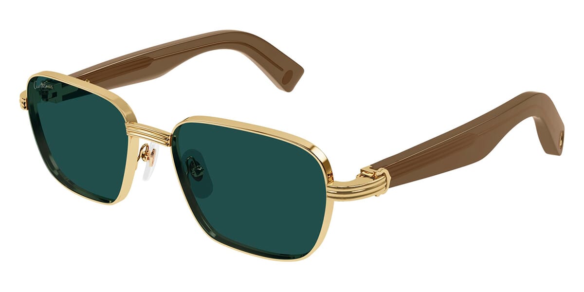 Cartier CT0538S 002