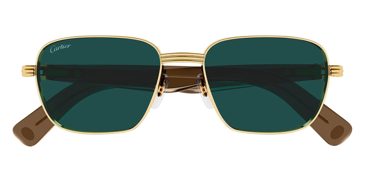 Cartier CT0538S 002
