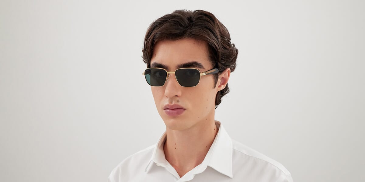 Cartier CT0538S 002