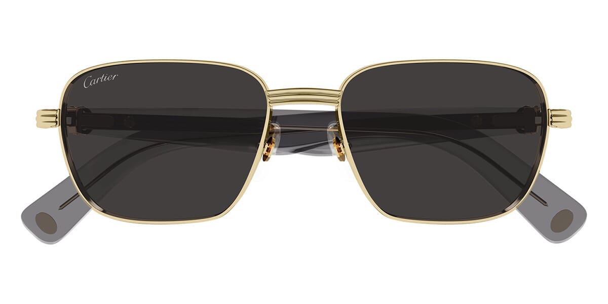 Cartier CT0538S 006