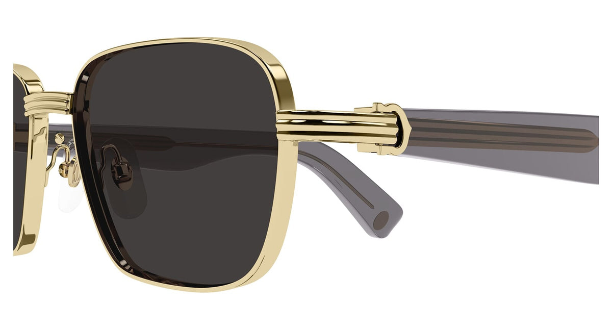 Cartier CT0538S 006