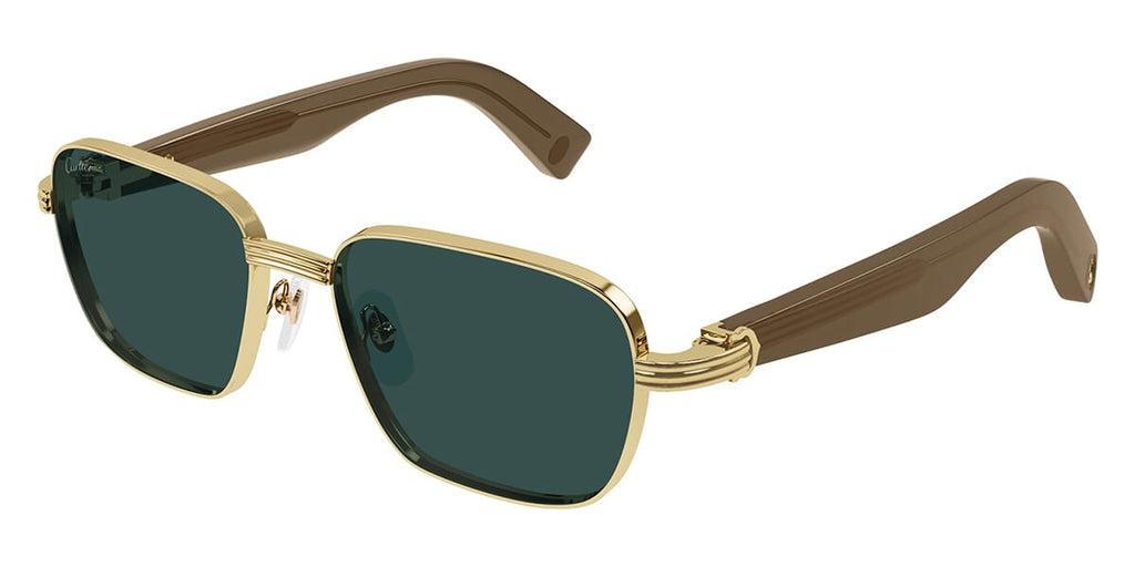 Cartier CT0538S 007