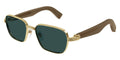 Cartier CT0538S 007