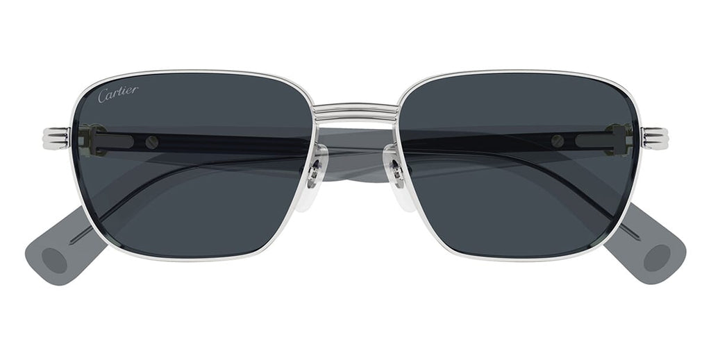 Cartier CT0538S 008