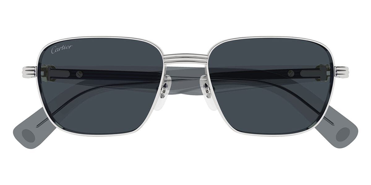 Cartier CT0538S 008