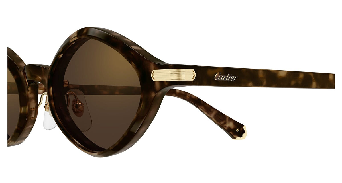 Cartier CT0540S 002