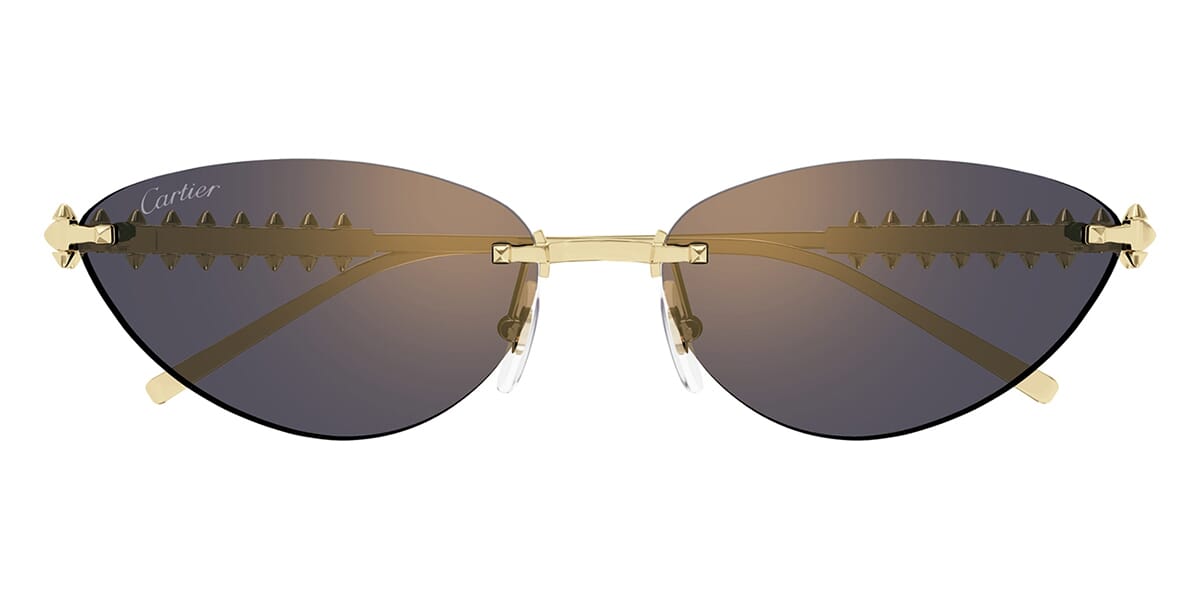Cartier CT0543S 003