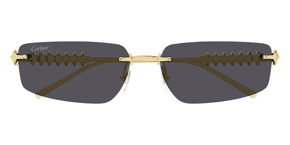 Cartier CT0544S 002 - As Seen On Daniella Rahme & Maxim Baldry