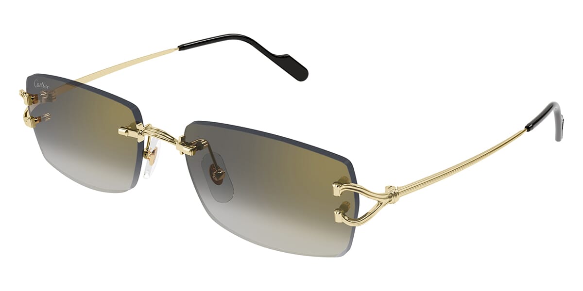 Cartier CT0550S 001 - As Seen On Chiara Ferragni